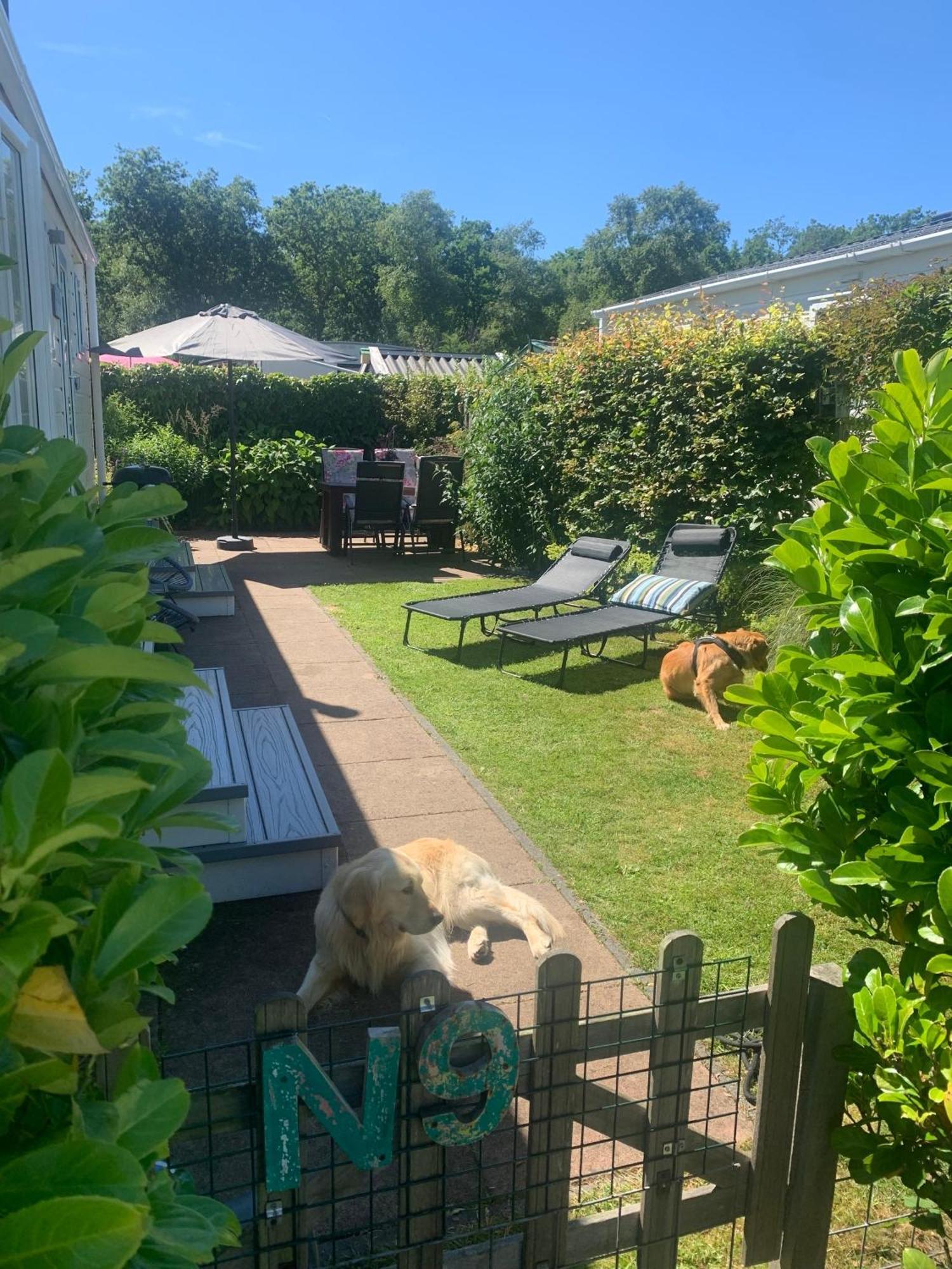 N 9Strandnahes, Hunde-Familienfreundliches Ferienhaus 卡兰茨奥赫 外观 照片