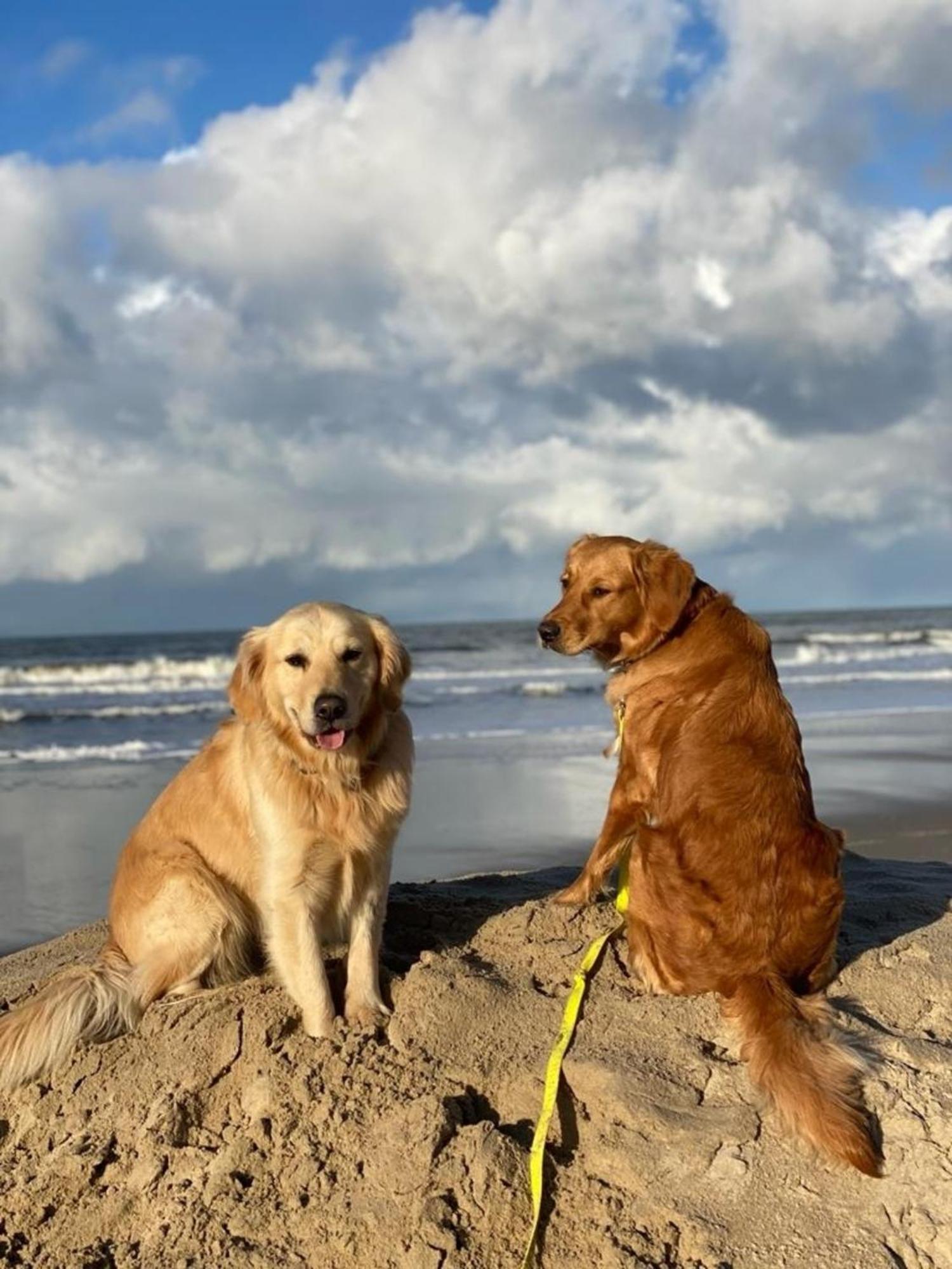 N 9Strandnahes, Hunde-Familienfreundliches Ferienhaus 卡兰茨奥赫 外观 照片