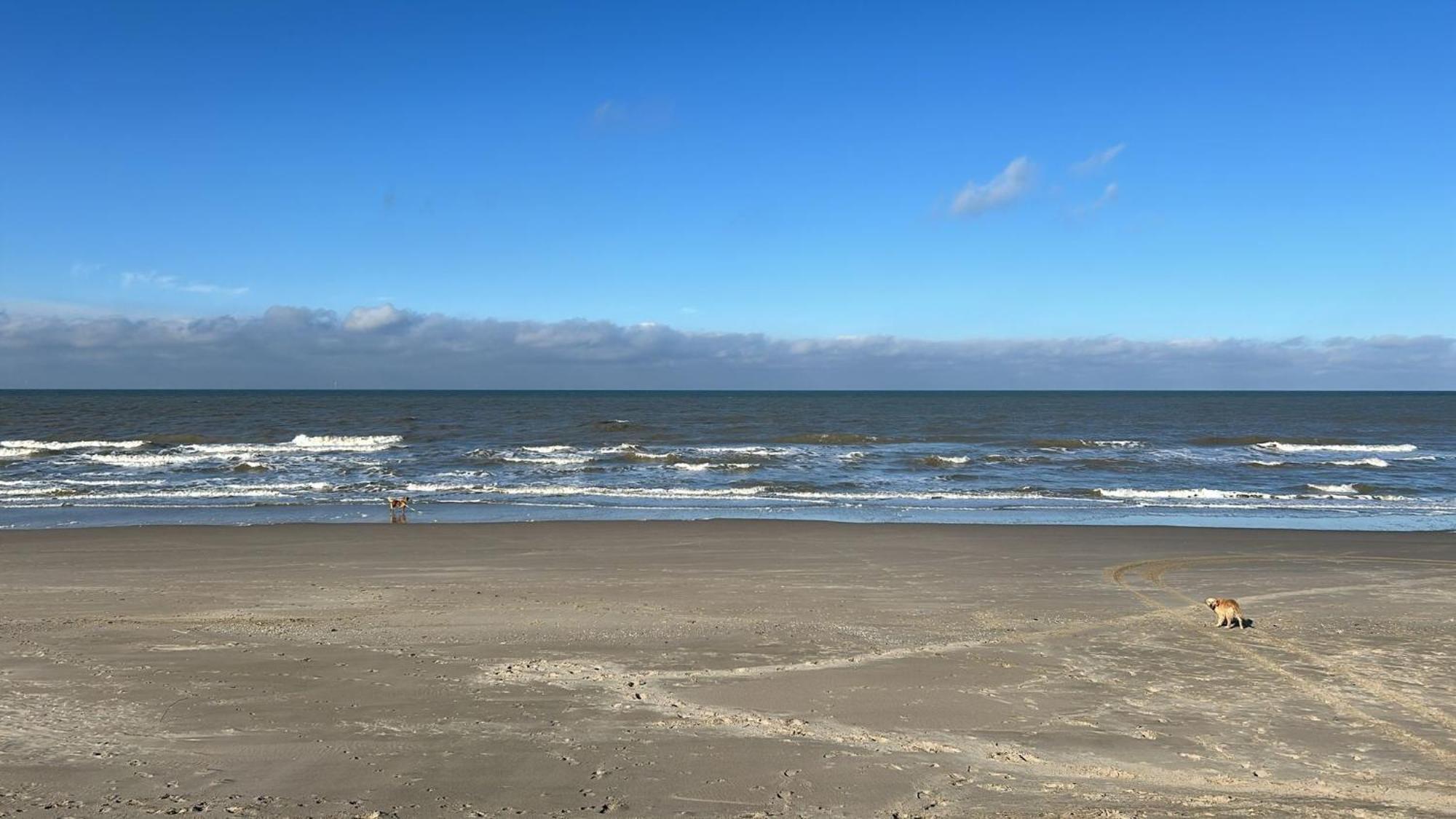 N 9Strandnahes, Hunde-Familienfreundliches Ferienhaus 卡兰茨奥赫 外观 照片